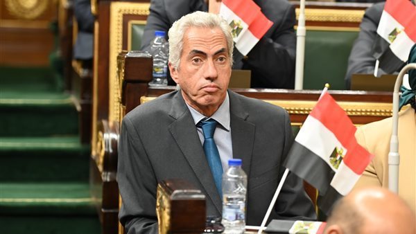 عمرو السنباطي، عضو مجلس النواب
