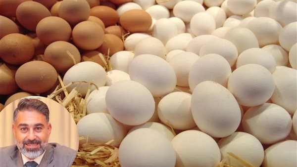 أحمد نبيل رئيس شعبة بيض المائدة