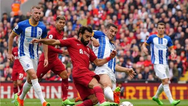 ليفربول وبرايتون