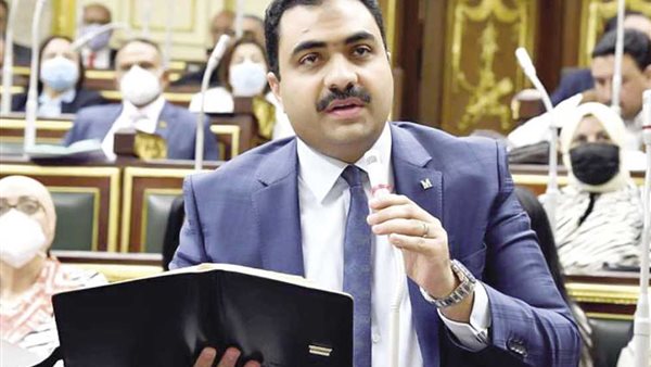 محمود قاسم عضو مجلس النواب