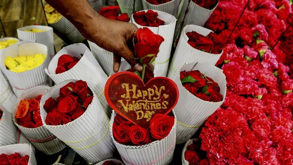 قصة عيد الحب المصري 4 نوفمبر