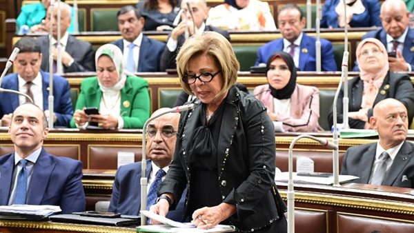 السفيرة مشيرة خطاب رئيس المجلس القومي لحقوق الإنسان