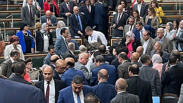 النائب سمير صبحي عليوة