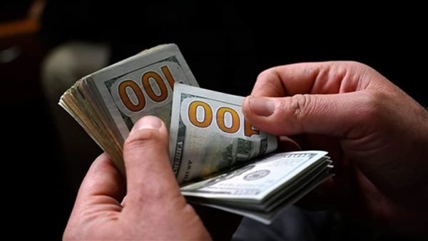 تصريحات رئيس الوزراء عن الدولار