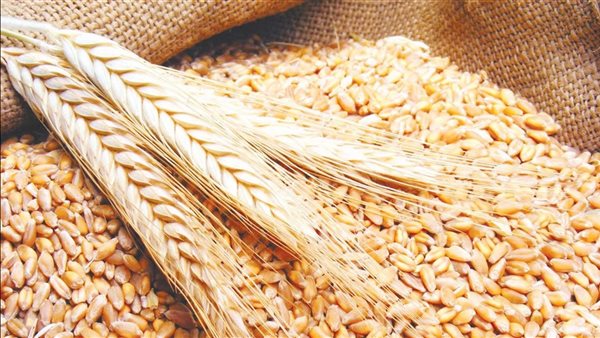 واردات مصر من القمح