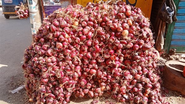 سعر البصل اليوم في سوق العبور