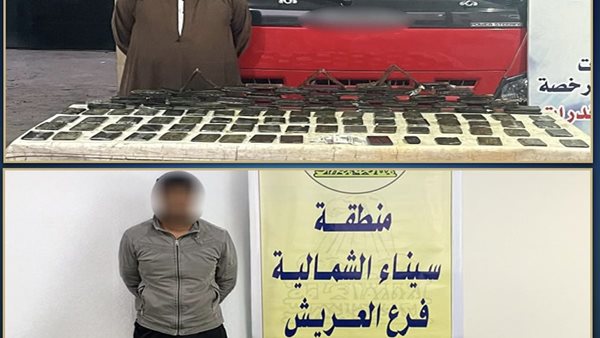 ضبط عناصر إجرامية