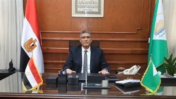 المهندس عادل النجار، محافظ الجيزة