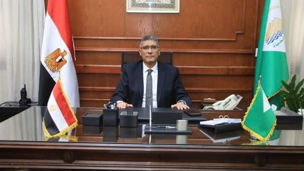 المهندس عادل النجار، محافظ الجيزة