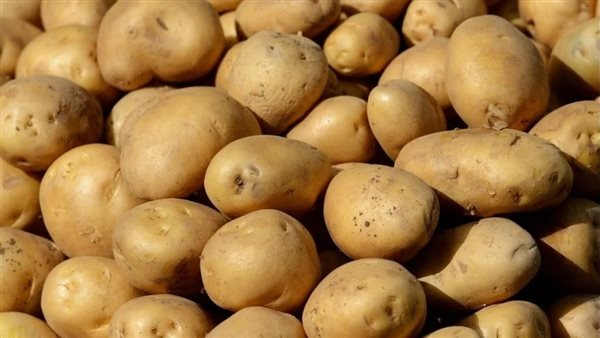 أسعار البطاطس اليوم في سوق العبور