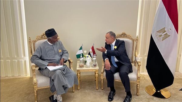 لقاء وزير الخارجية بنظيره النيجيري 