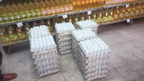 سعر كرتونة البيض اليوم جملة