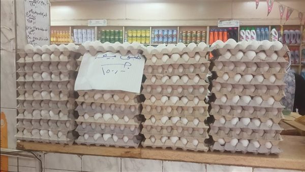 سعر طبق بيض المائدة في محافظة الجيزة