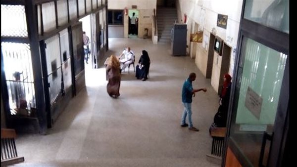 على باب الأسرة- مأساة أم حنين 
