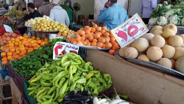 مواعيد سوق اليوم الواحد بقاعة المؤتمرات بمدينة نصر