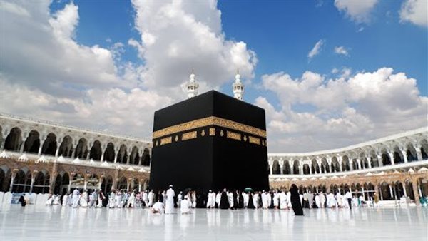 غرفة شركات السياحة