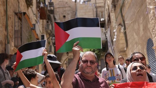 كسيف عضو الكنيست الإسرائيلي يحمل علم فلسطين