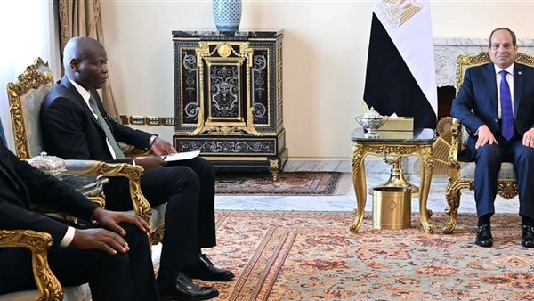 تطوير العلاقات والروابط بين مصر وجنوب أفريقيا