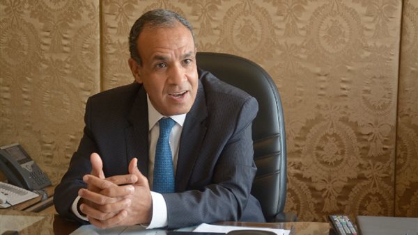 الدكتور بدر عبد العاطي، وزير الخارجية