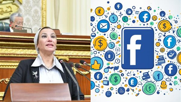 برلمانية: مصر 14 مليون حساب فيسبوك وهمي