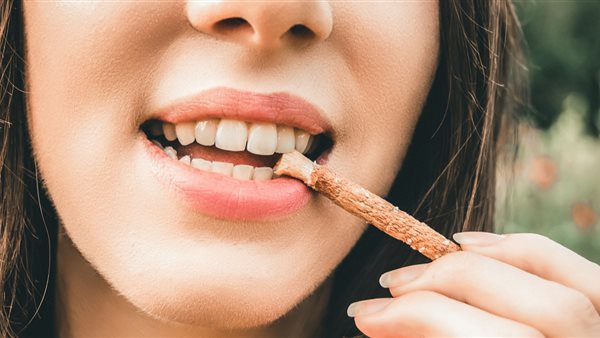 كيفية استخدام السواك لتنظيف الأسنان وفوائده لصحة الفم