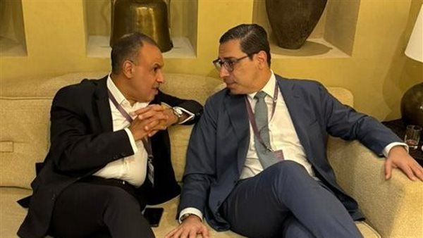 وزير الخارجية يبحث مع نطيره القبرصى سُبل التعاون 