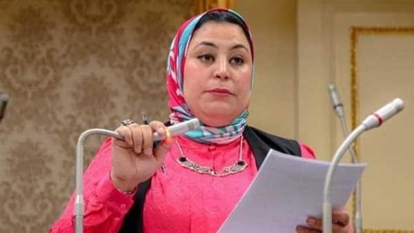 النائبة ولاء التمامي عضو مجلس النواب