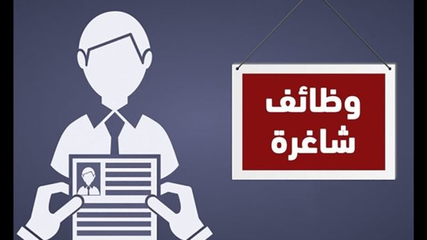وظائف وزارة التضامن الاجتماعي