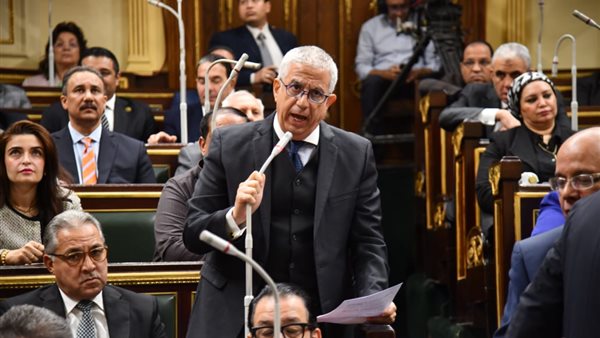 كريم درويش رئيس لجنة العلاقات الخارجية بمجلس النواب