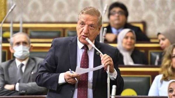 النائب فخري الفقي