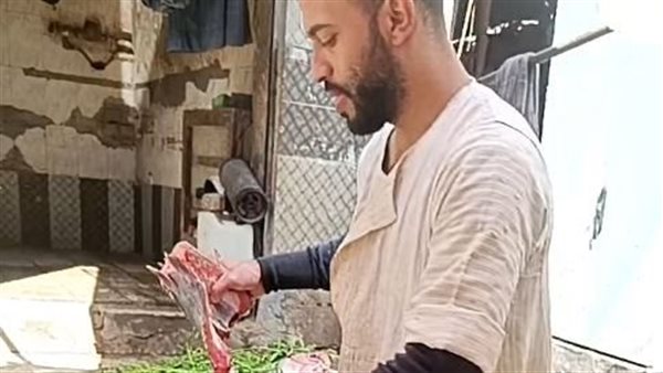 أسماك بحلقة السمك في أسيوط