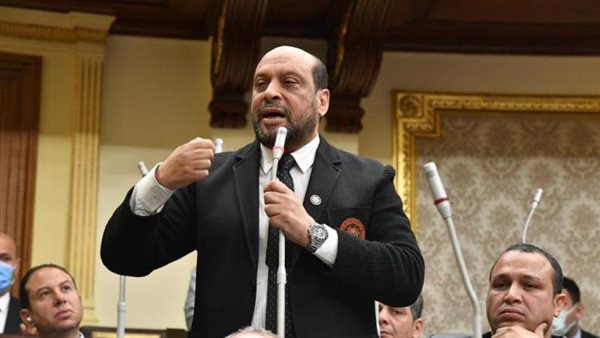 النائب محمود الشامي عضو مجلس النواب