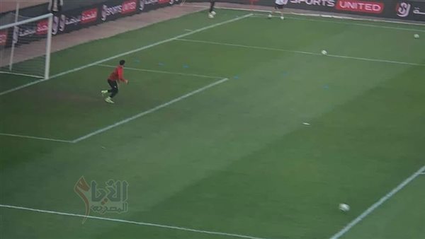 مصطفي شوبير