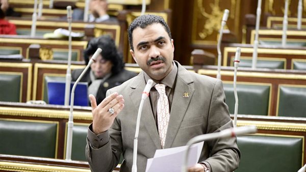 النائب محمود قاسم
