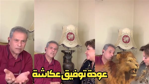 توفيق عكاشة تيك توك.. ظهور صادم وأسد بـ30 ألف جنيه