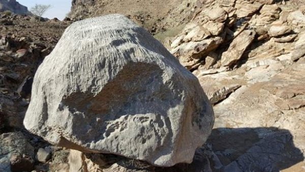 حادث الوادي الجديد اليوم 