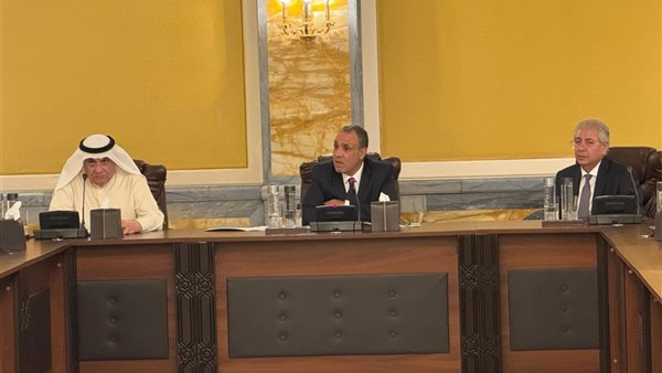 اجتماع وزير الخارجية بالمجلس التعاون المصري الكويتي 