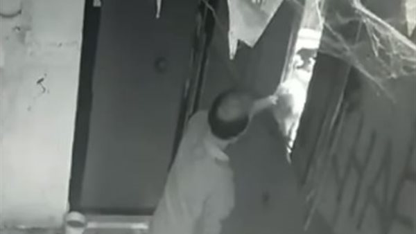 مقطع فيديو القاء  قطه بالبساتين