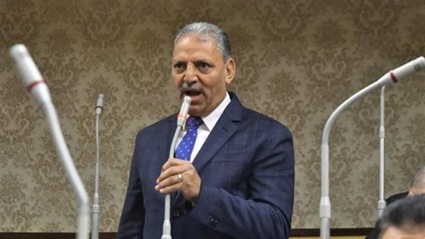 اللواء إبراهيم المصري