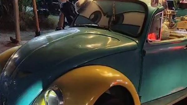 الخنفساء