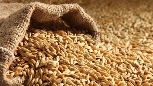 سعر طن الأرز الشعير