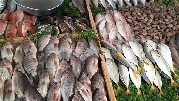 أسعار السمك في سوق العبور اليوم
