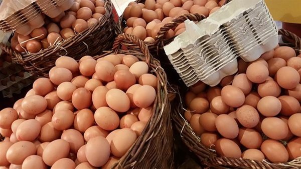 طرح بيض المائدة