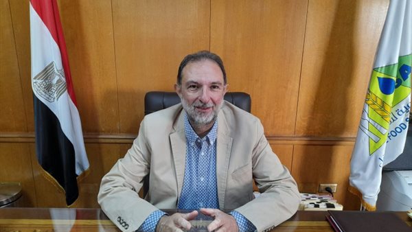 الدكتور طارق الهوبي رئيس الهيئة القومية لسلامة الغذاء