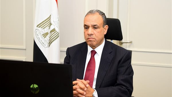 د. بدر عبد العاطي وزير الخارجية