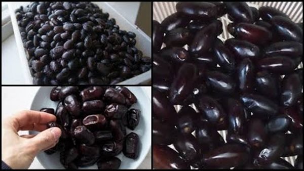 طريقة تخزين البلح الأسود