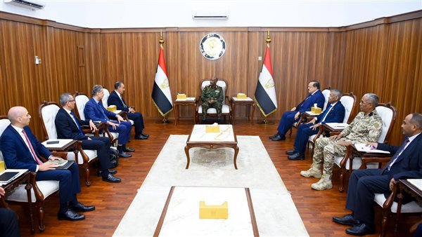 الدكتور بدر عبد العاطي وزير الخارجية والهجرة