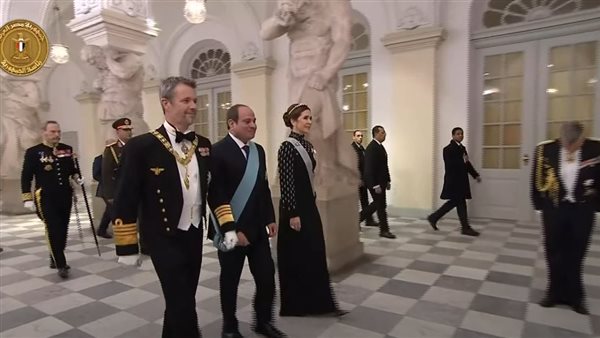السيسي في الدنمارك 