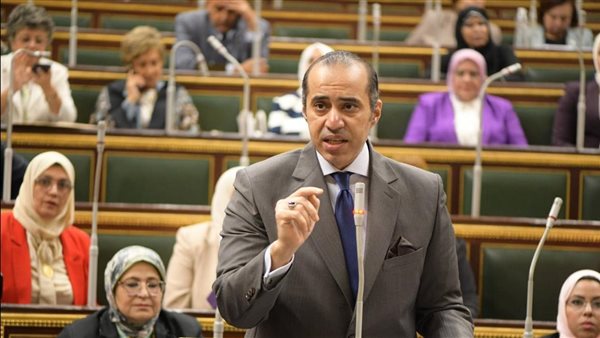 المستشار محمود فوزي وزير الشؤون النيابية
