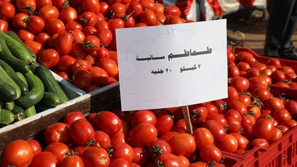 سوق اليوم الواحد بالجيزة